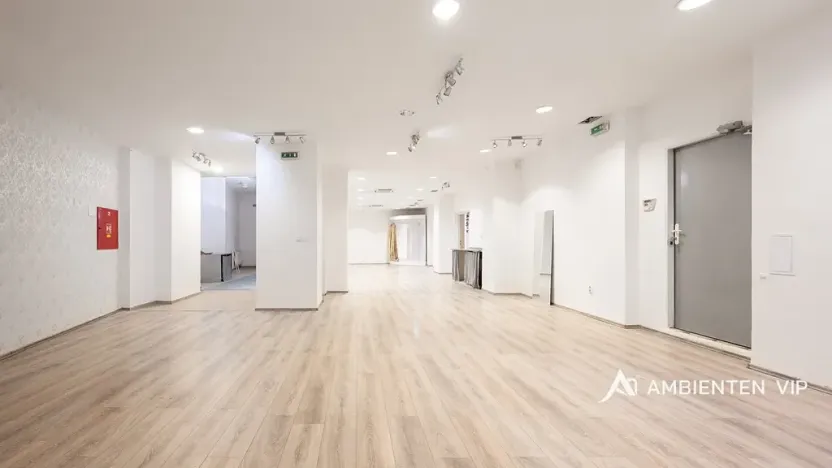 Prodej obchodního prostoru, Brno, Masarykova, 494 m2