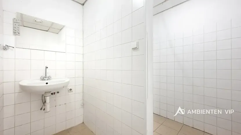 Prodej obchodního prostoru, Brno, Masarykova, 494 m2