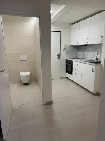 Pronájem bytu 1+kk, Praha - Vinohrady, Nad olšinami, 24 m2