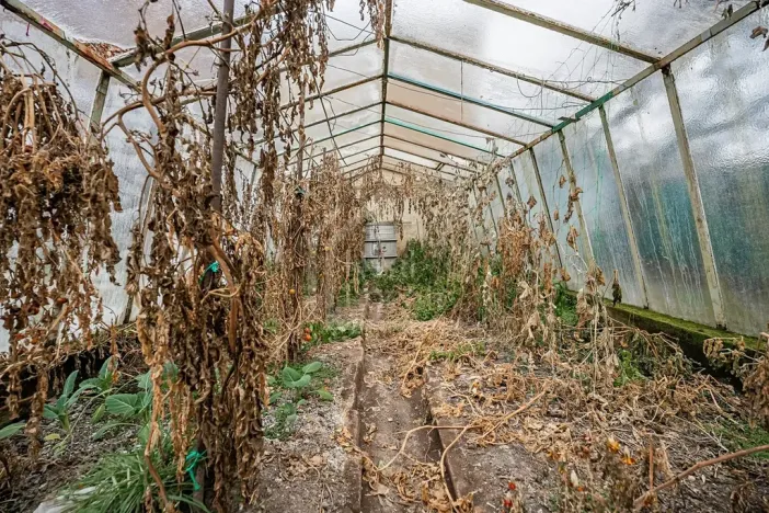 Prodej rodinného domu, Třebusice, 470 m2
