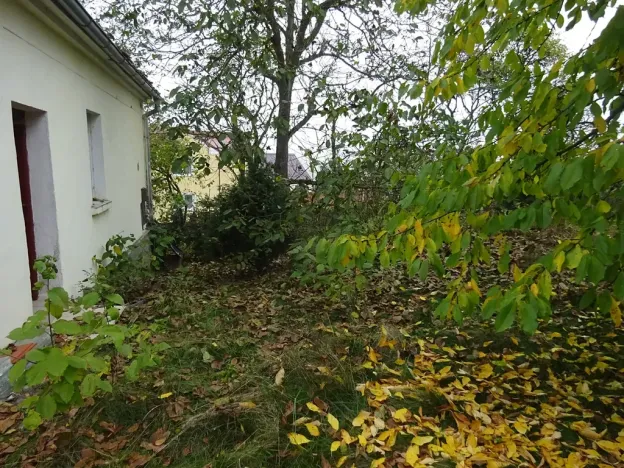 Prodej rodinného domu, Plasy, 63 m2