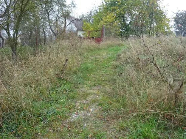 Prodej rodinného domu, Plasy, 63 m2