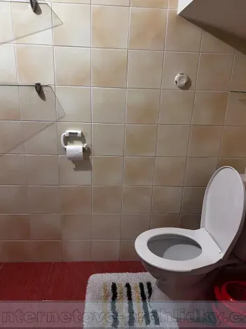 Pronájem pokoje, Praha - Řepy, Krolmusova, 23 m2