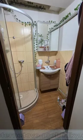 Pronájem pokoje, Praha - Holešovice, Bubenská, 15 m2