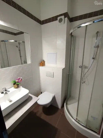 Pronájem bytu 1+kk, Sázava, Poznaňská, 18 m2