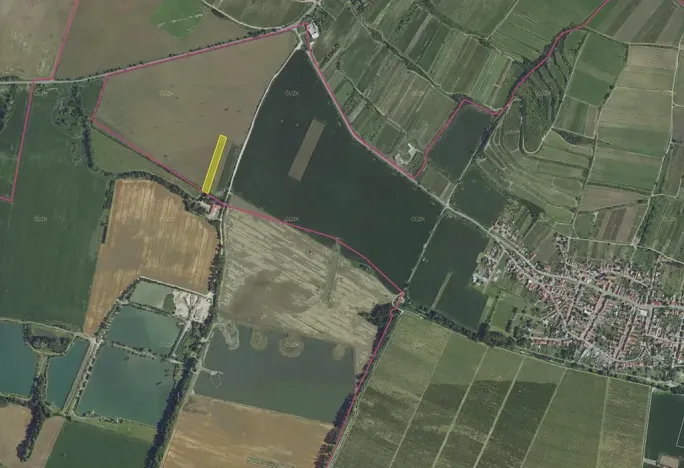 Prodej podílu pole, Přítluky, 5354 m2