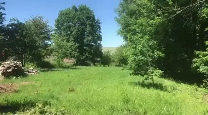 Dražba pozemku pro bydlení, Bělá nad Radbuzou, 704 m2