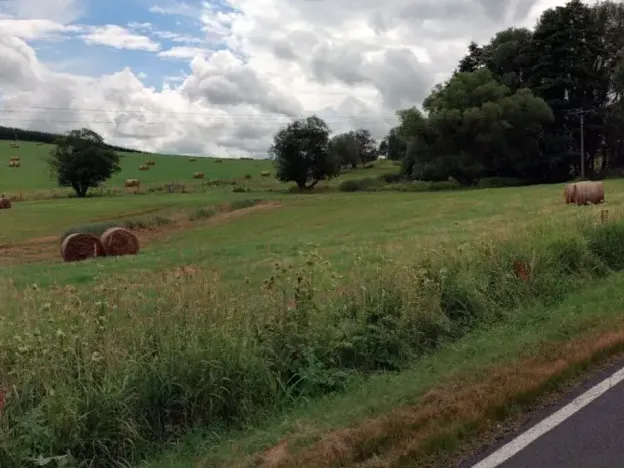 Dražba louky, Mnichov, 12065 m2