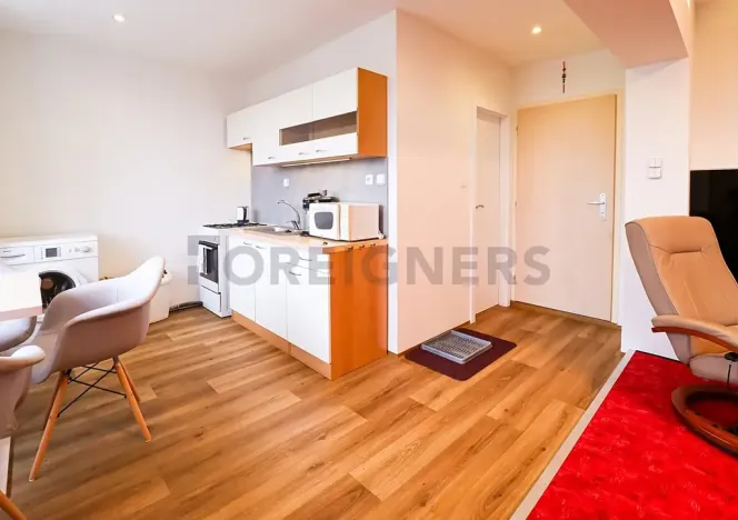 Pronájem bytu 1+kk, Brno, Laštůvkova, 39 m2