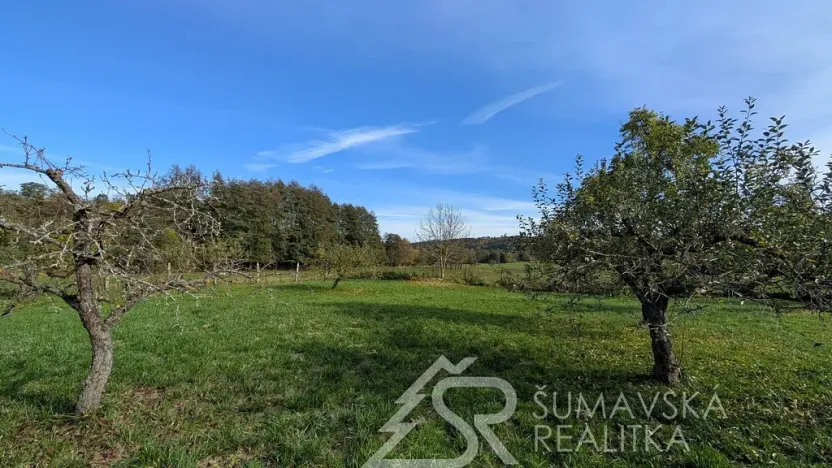 Prodej pozemku, Volenice, 1966 m2