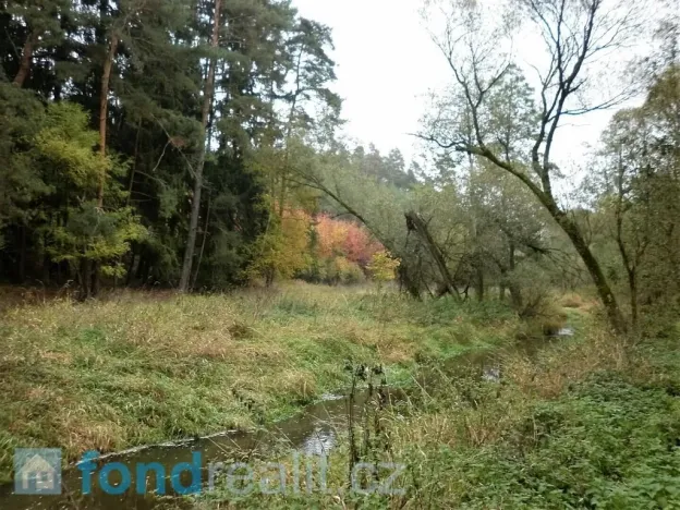 Prodej pole, Kladruby, 42411 m2