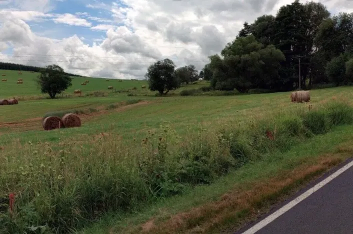 Prodej pozemku, Mnichov, 12065 m2