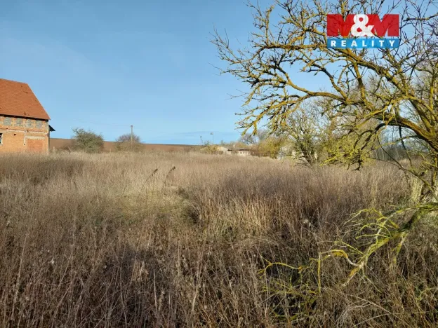 Prodej zemědělské usedlosti, Třebovle - Miškovice, 500 m2