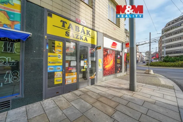 Pronájem obchodního prostoru, Plzeň - Jižní Předměstí, Goethova, 33 m2