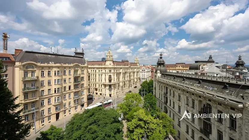 Prodej bytu 6+kk a větší, Brno, Čápkova, 209 m2
