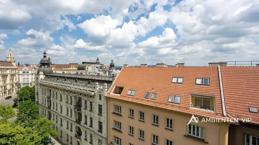 Prodej bytu 6+kk a větší, Brno, Čápkova, 209 m2