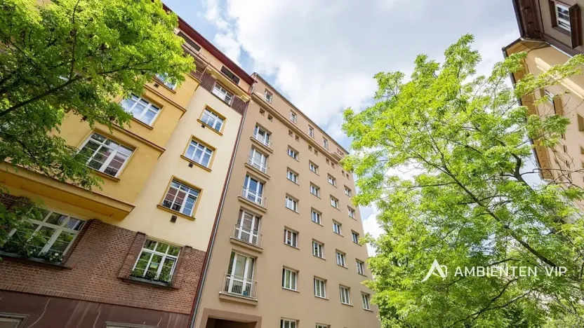 Prodej bytu 6+kk a větší, Brno, Čápkova, 209 m2