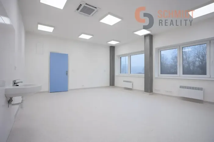 Pronájem ordinace, Břeclav, U Nemocnice, 234 m2