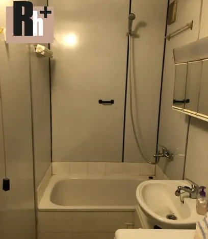 Prodej bytu 1+kk, Ostrava, Gen. Píky, 29 m2