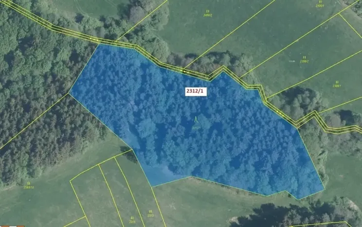 Dražba lesa, Lačnov, 10526 m2