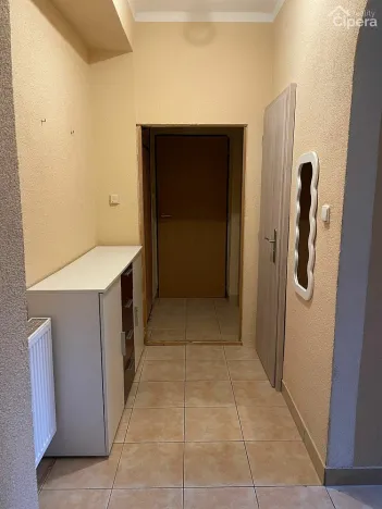 Pronájem bytu 2+1, Tisová, 57 m2