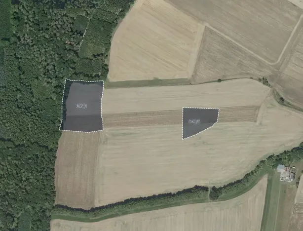 Prodej pole, Masojedy, 21338 m2