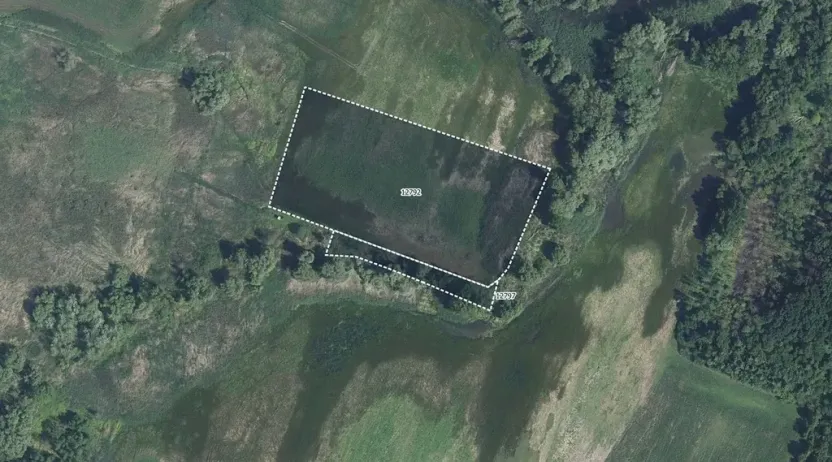 Prodej pole, Hrabětice, 9343 m2