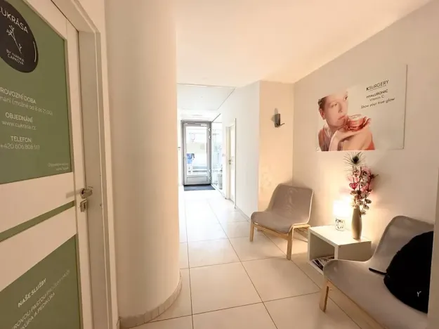 Pronájem kanceláře, Praha - Karlín, Křižíkova, 20 m2