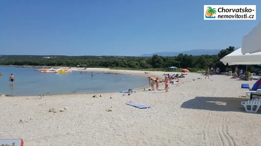 Prodej lesa, Novalja, Chorvatsko, 1080 m2