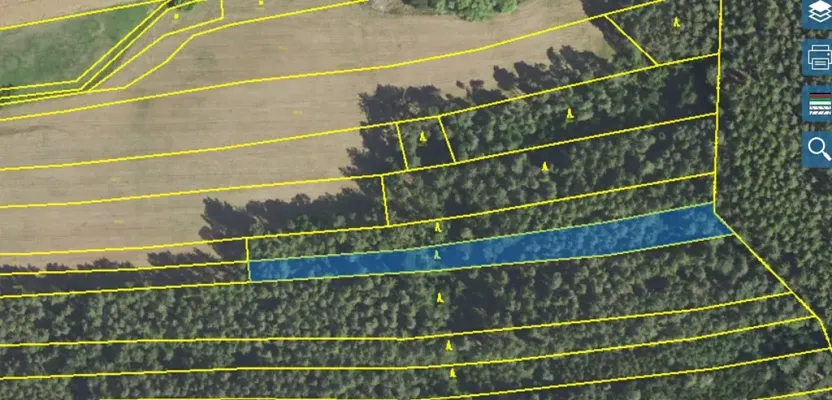 Prodej lesa, Lišany, 5889 m2