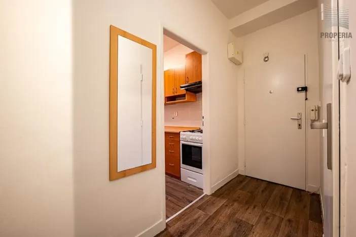 Prodej bytu 2+1, Brno, Čápkova, 59 m2