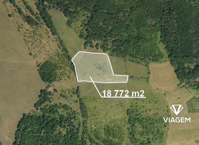 Prodej podílu zahrady, Žitenice, 8343 m2