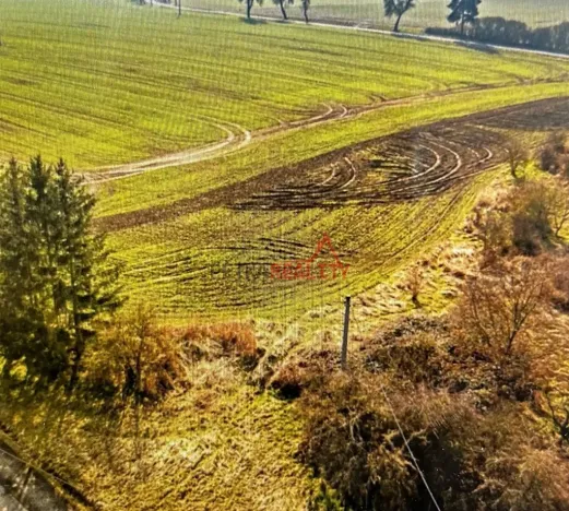 Prodej pozemku pro bydlení, Černíkovice, 2281 m2