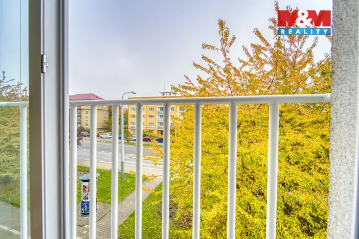 Pronájem bytu 1+kk, Plzeň, Nepomucká, 28 m2