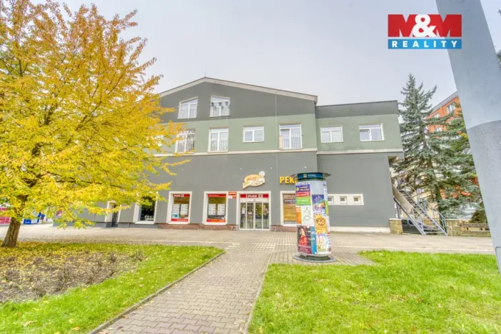 Pronájem bytu 1+kk, Plzeň, Nepomucká, 28 m2