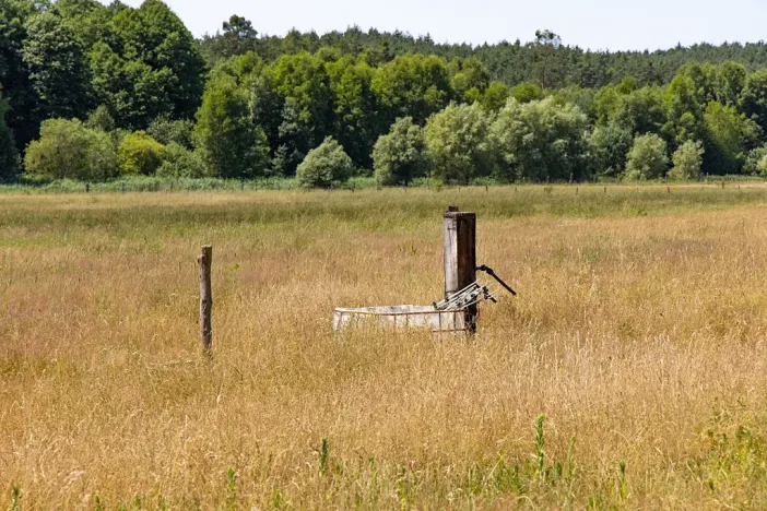 Prodej louky, Doksy, 46765 m2