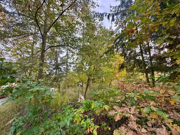 Pronájem chaty, Kamýk nad Vltavou, 50 m2