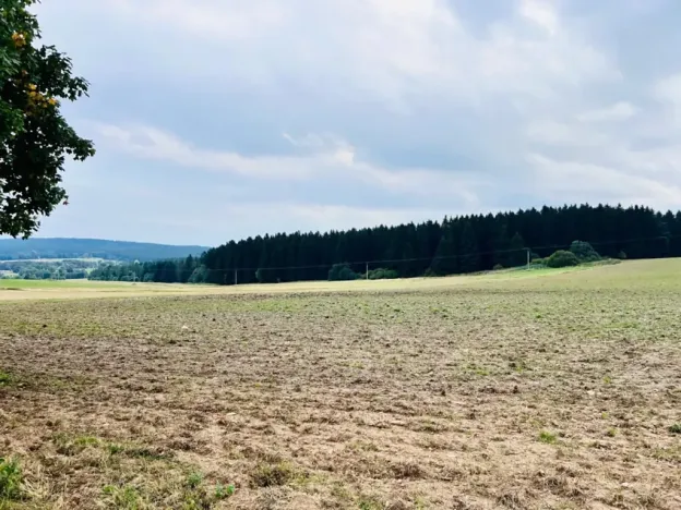 Prodej louky, Herálec, 35197 m2