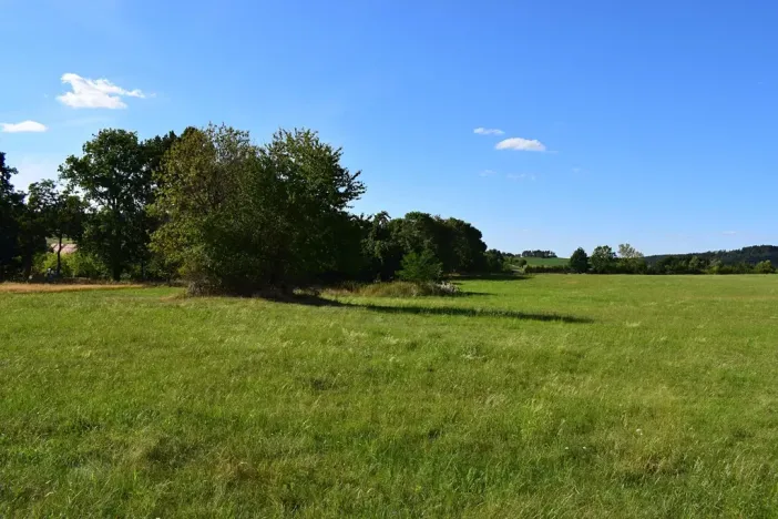 Prodej pozemku pro bydlení, Předslavice, 2846 m2