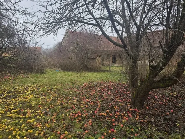 Prodej rodinného domu, Milonice, 100 m2