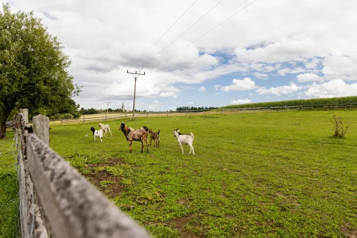 Prodej rodinného domu, Litíč, 60 m2