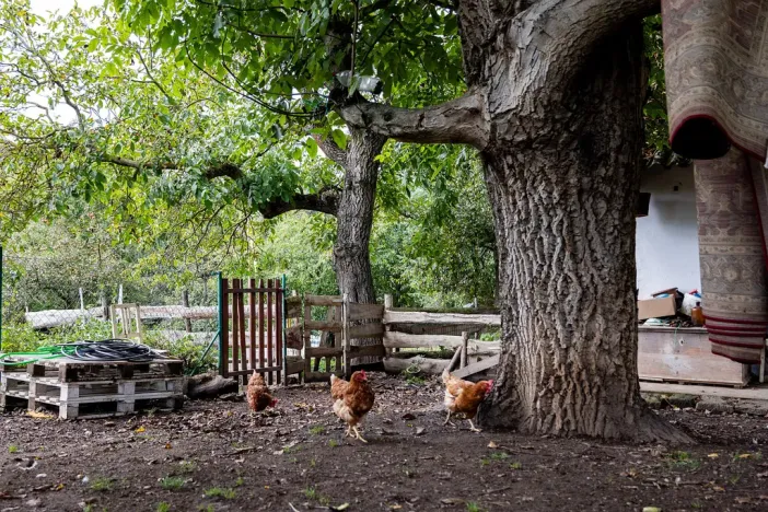 Prodej rodinného domu, Litíč, 60 m2