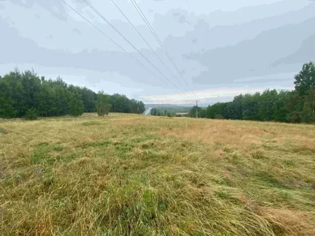 Dražba louky, Nové Sedlo, 49321 m2