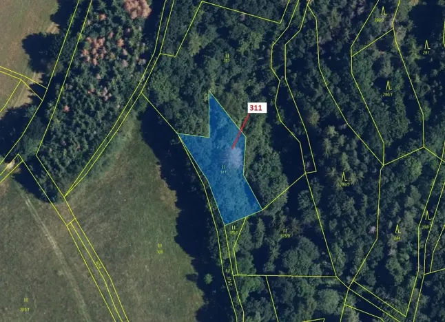 Dražba louky, Bouzov, 1043 m2