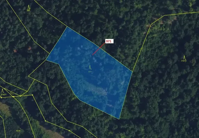 Dražba lesa, Lhota Rapotina, 4308 m2