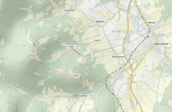 Dražba lesa, Návsí, 3528 m2