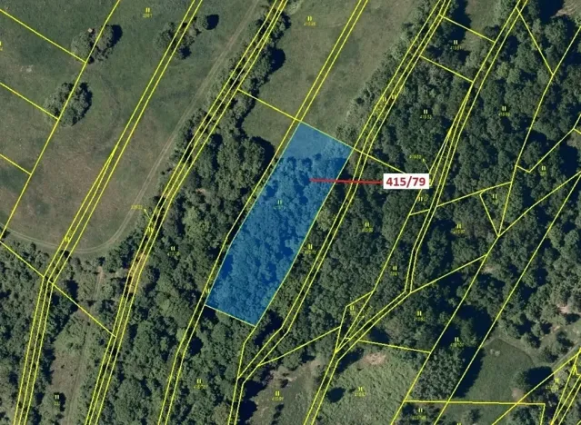 Dražba louky, Jankovice, 2523 m2