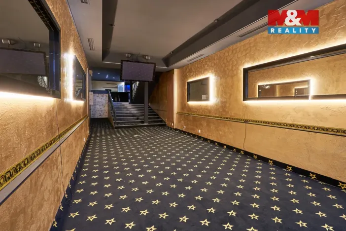 Pronájem obchodního prostoru, Uherský Brod, Moravská, 205 m2