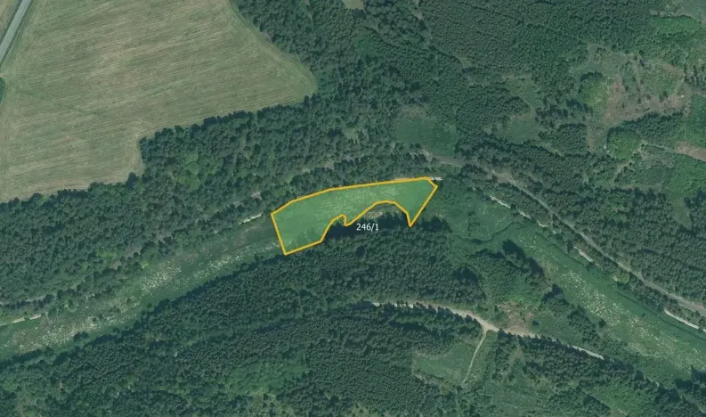 Prodej pole, Bor, 44369 m2