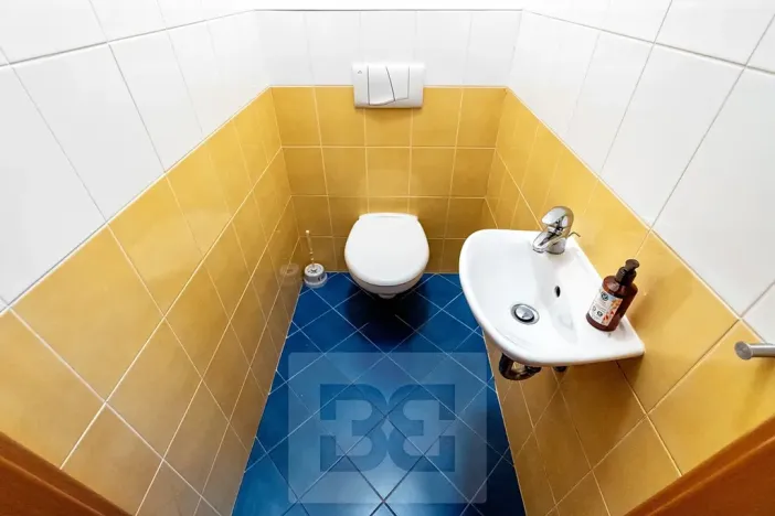 Prodej bytu 2+kk, Praha - Zbraslav, Pickova, 55 m2